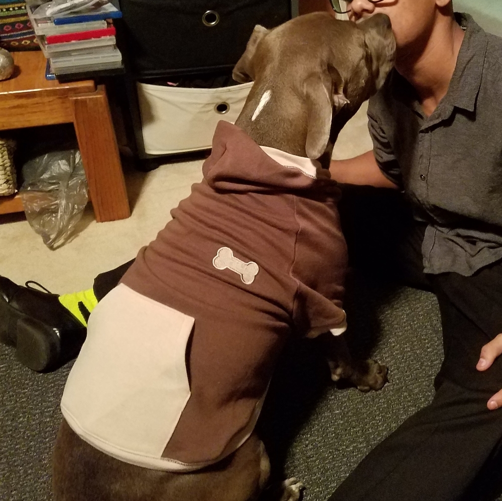 Dog hoodie - Picture 8 of 8